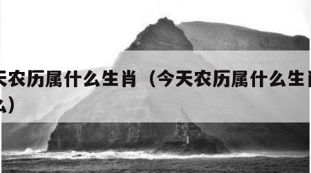 今天农历属什么生肖（今天农历属什么生肖冲什么）