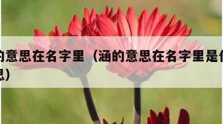 涵的意思在名字里（涵的意思在名字里是什么意思）