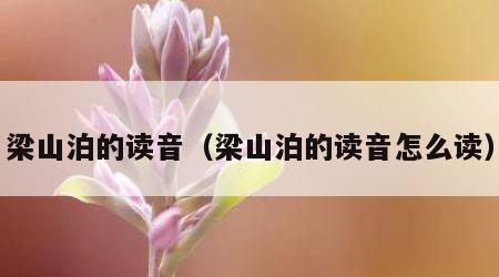 梁山泊的读音（梁山泊的读音怎么读）