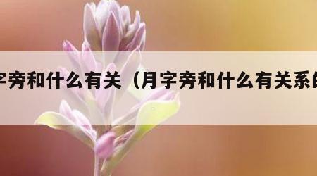 月字旁和什么有关（月字旁和什么有关系的图）