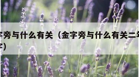 金字旁与什么有关（金字旁与什么有关二年级的字）