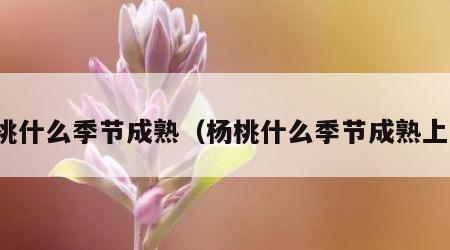 杨桃什么季节成熟（杨桃什么季节成熟上市）