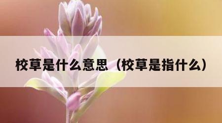 校草是什么意思（校草是指什么）