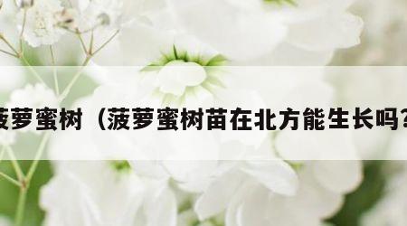 菠萝蜜树（菠萝蜜树苗在北方能生长吗?）