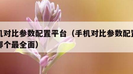 手机对比参数配置平台（手机对比参数配置平台哪个最全面）