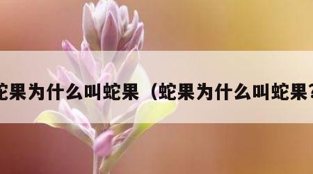 蛇果为什么叫蛇果（蛇果为什么叫蛇果?）