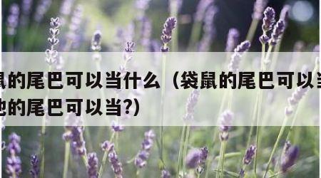 袋鼠的尾巴可以当什么（袋鼠的尾巴可以当什么他的尾巴可以当?）