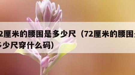 72厘米的腰围是多少尺（72厘米的腰围是多少尺穿什么码）