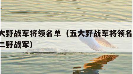 五大野战军将领名单（五大野战军将领名单 第二野战军）