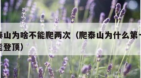 爬泰山为啥不能爬两次（爬泰山为什么第一次不能登顶）