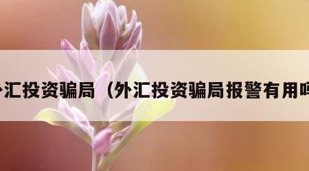 外汇投资骗局（外汇投资骗局报警有用吗）