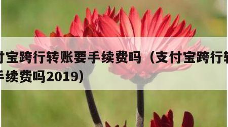 支付宝跨行转账要手续费吗（支付宝跨行转账要手续费吗2019）