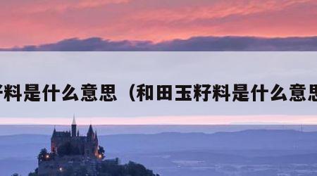 籽料是什么意思（和田玉籽料是什么意思）