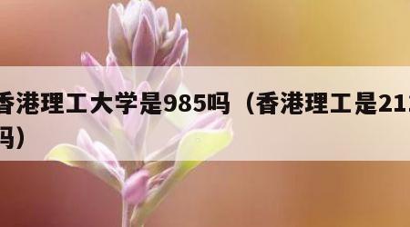 香港理工大学是985吗（香港理工是211吗）