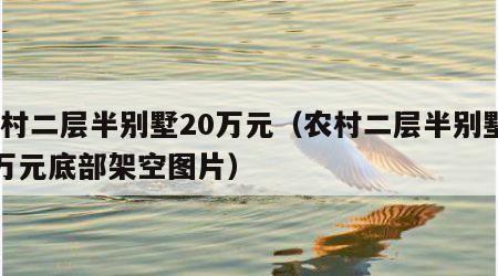 农村二层半别墅20万元（农村二层半别墅20万元底部架空图片）