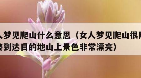 女人梦见爬山什么意思（女人梦见爬山很陡峭最终到达目的地山上景色非常漂亮）