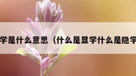 显学是什么意思（什么是显学什么是隐学?）