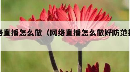 网络直播怎么做（网络直播怎么做好防范措施）