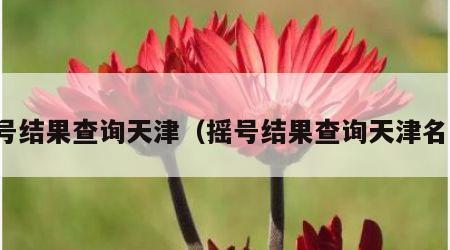 摇号结果查询天津（摇号结果查询天津名单）