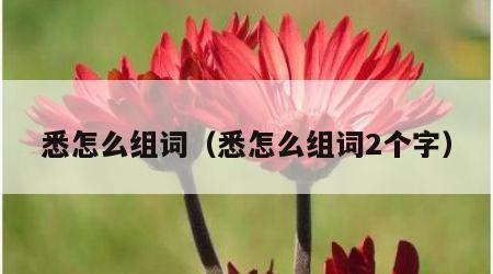 悉怎么组词（悉怎么组词2个字）