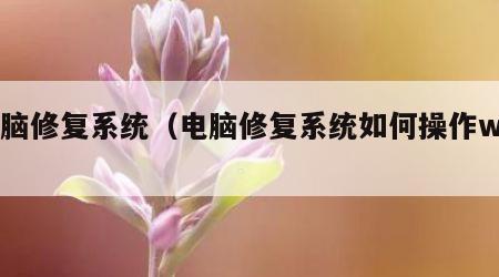 电脑修复系统（电脑修复系统如何操作win7）