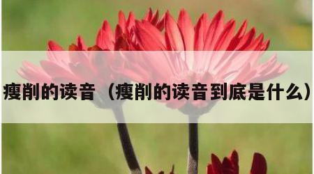 瘦削的读音（瘦削的读音到底是什么）