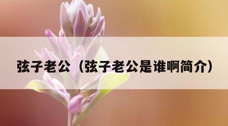 弦子老公（弦子老公是谁啊简介）