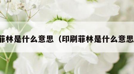 菲林是什么意思（印刷菲林是什么意思）