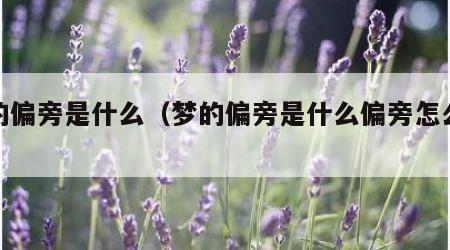 梦的偏旁是什么（梦的偏旁是什么偏旁怎么读）