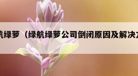 绿航绿萝（绿航绿萝公司倒闭原因及解决方法）