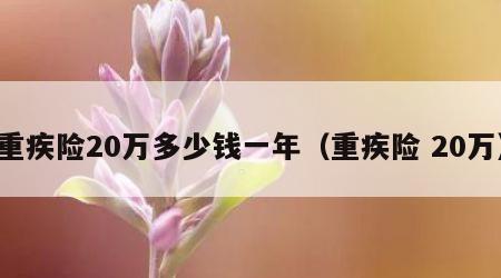 重疾险20万多少钱一年（重疾险 20万）