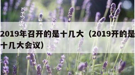 2019年召开的是十几大（2019开的是十几大会议）