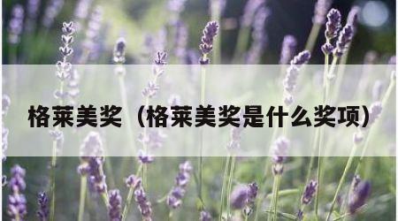 格莱美奖（格莱美奖是什么奖项）