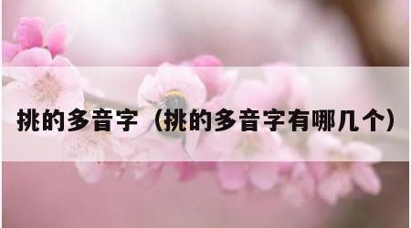 挑的多音字（挑的多音字有哪几个）