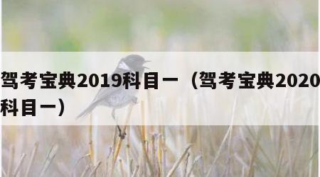 驾考宝典2019科目一（驾考宝典2020科目一）