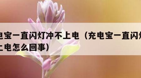 充电宝一直闪灯冲不上电（充电宝一直闪灯冲不上电怎么回事）