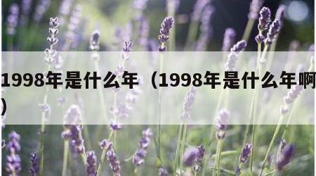 1998年是什么年（1998年是什么年啊）