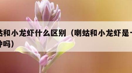 喇蛄和小龙虾什么区别（喇蛄和小龙虾是一个物种吗）