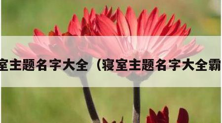 寝室主题名字大全（寝室主题名字大全霸气）