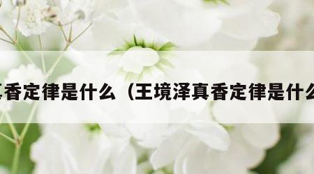 真香定律是什么（王境泽真香定律是什么）