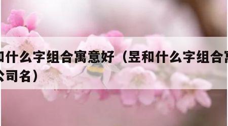 昱和什么字组合寓意好（昱和什么字组合寓意好公司名）