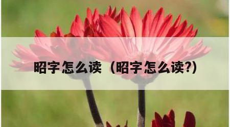 昭字怎么读（昭字怎么读?）