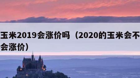 玉米2019会涨价吗（2020的玉米会不会涨价）