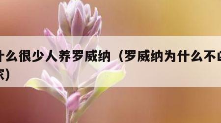 为什么很少人养罗威纳（罗威纳为什么不凶不看家）