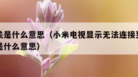 网关是什么意思（小米电视显示无法连接到网关是什么意思）