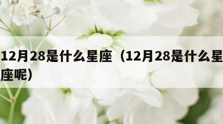 12月28是什么星座（12月28是什么星座呢）