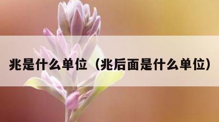 兆是什么单位（兆后面是什么单位）