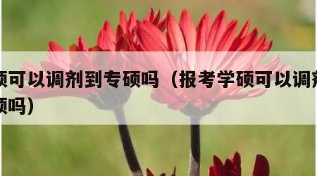 学硕可以调剂到专硕吗（报考学硕可以调剂到专硕吗）