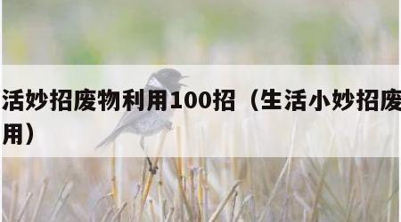 生活妙招废物利用100招（生活小妙招废物利用）