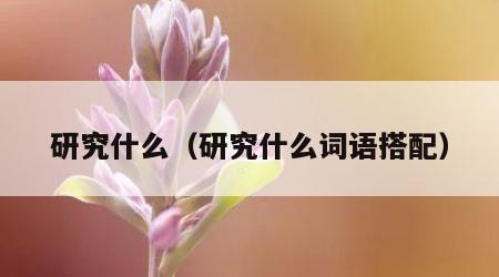 研究什么（研究什么词语搭配）